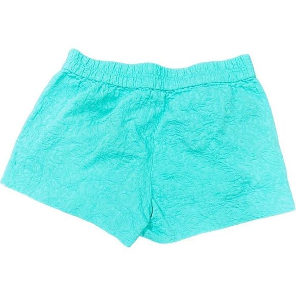 J. CREW Turquoise Green Blue Elastic Waist Band Jacquard Cotton Shorts w/Pockets - Picture 2 of 7